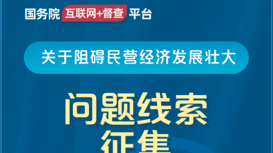 美淫在线导航国务院“互联网+督查”平台公开征集阻碍民营经济发展壮大问题线索